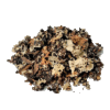 STONE FLOWER