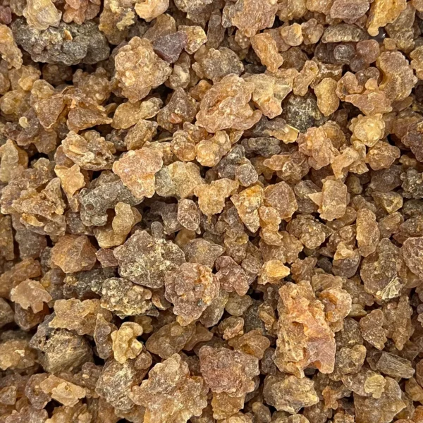 Myrrh (Commiphora myrrha)
