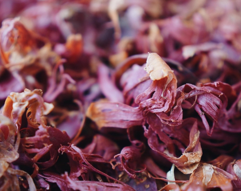 mace nutmeg flower