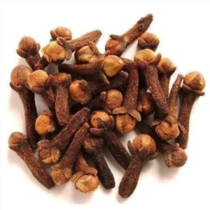 Clove (Syzygium aromaticum)